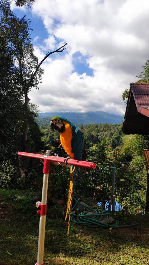 Peamoo Homestay Chom Thong Ngoại thất bức ảnh